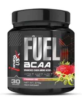 I WHEY USA FUEL BCAA 375g
